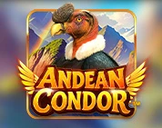 Andean Condor